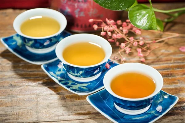 木の病気と害虫の見分け方と対策のコツ