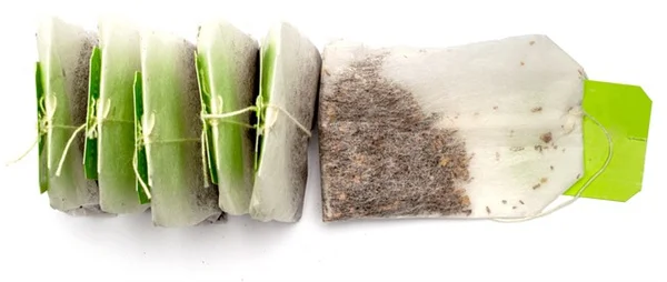 植物に音楽をかけると本当に育ちが良くなる？科学に基づく理由と効果的な選び方